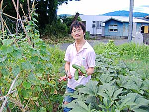 野菜収穫写真